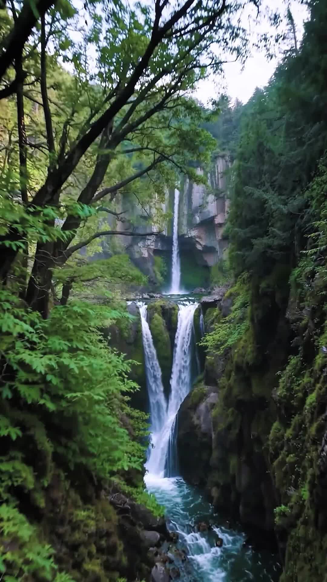 الحلقة 2 - قوة خارقة، وفوضى تعمّ عالم القتال